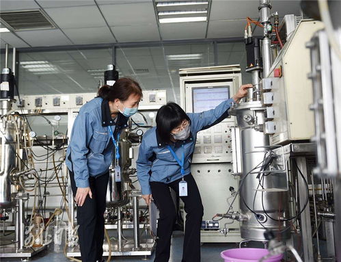 创新河北正当时 技术交流赋能高质量发展新篇章